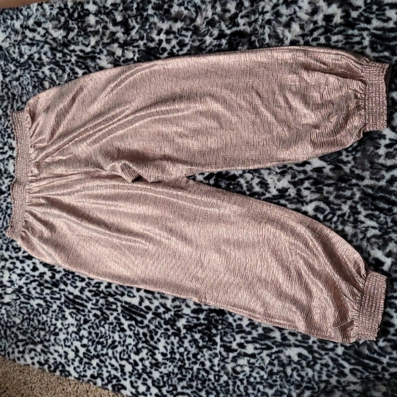 GILLIAN SHIMMER JOGGERS BY SATURDAY/SUNDAY ANTHROPOLOGIE PINK/ROSE SIZE XS NWT - Picture 7 of 16